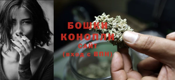 твердый Лабытнанги