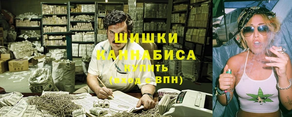 spice Арсеньев