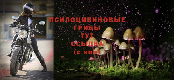 кокаин перу Ладушкин