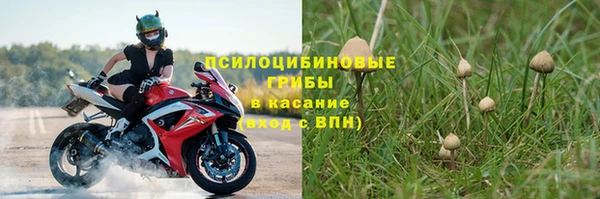 прущий лед Липки