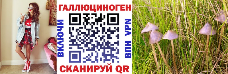 Галлюциногенные грибы прущие грибы Люберцы